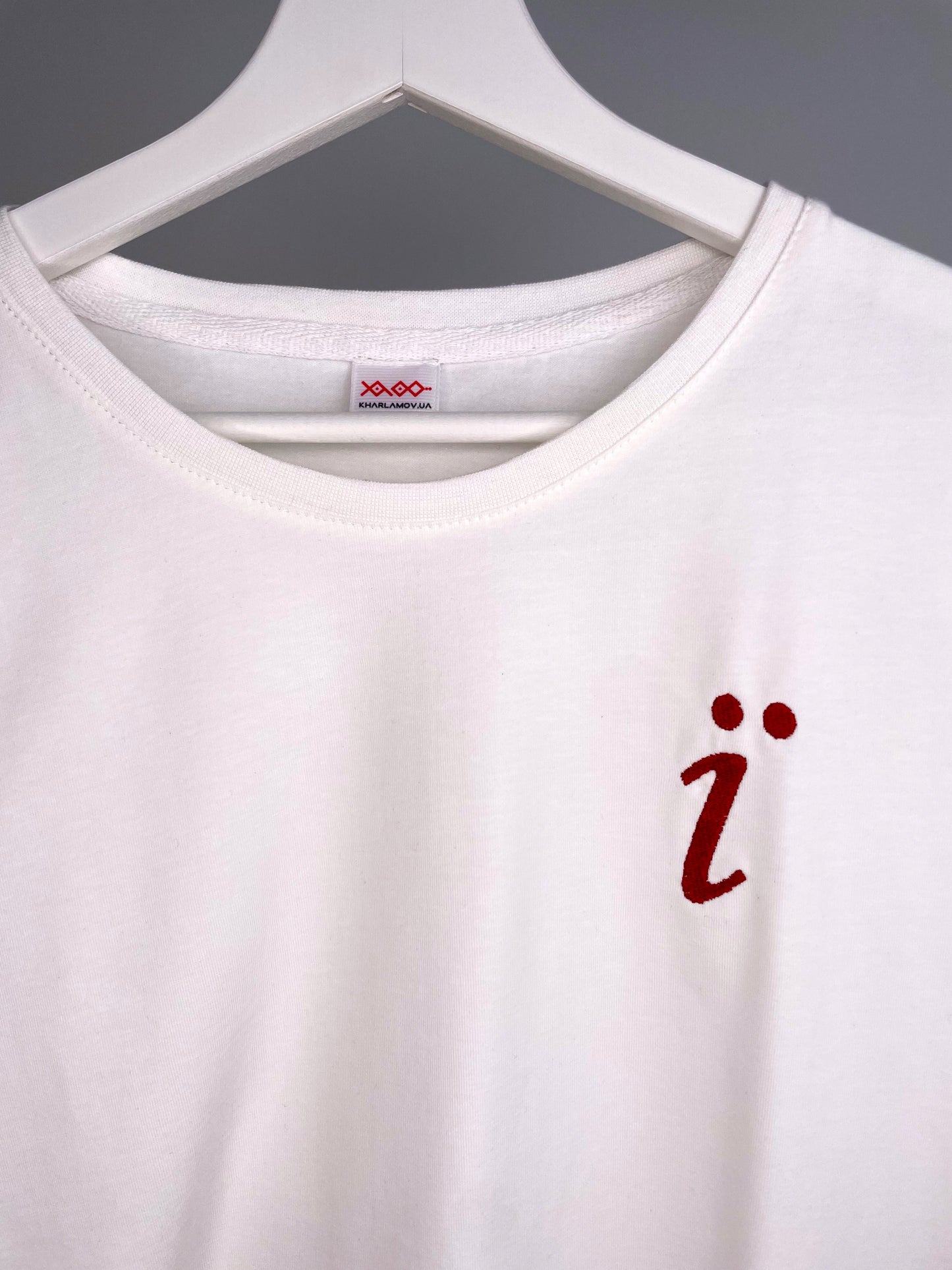 Letter "Ї" | Embroidered T-Shirt | Oversized Fit