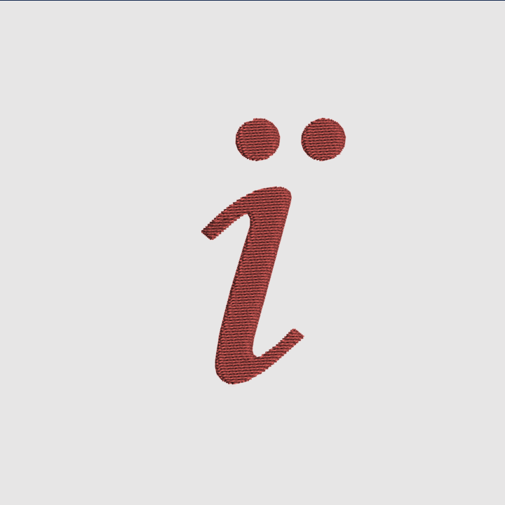 Letter Ї | Embroidered Hoodie | Regular Fit