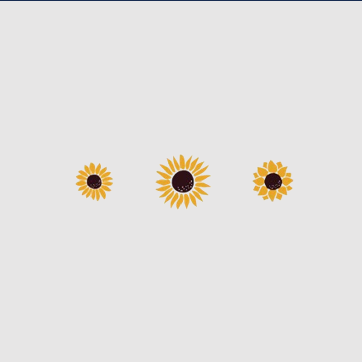 Sunflowers | Embroidered T-Shirt | Oversized