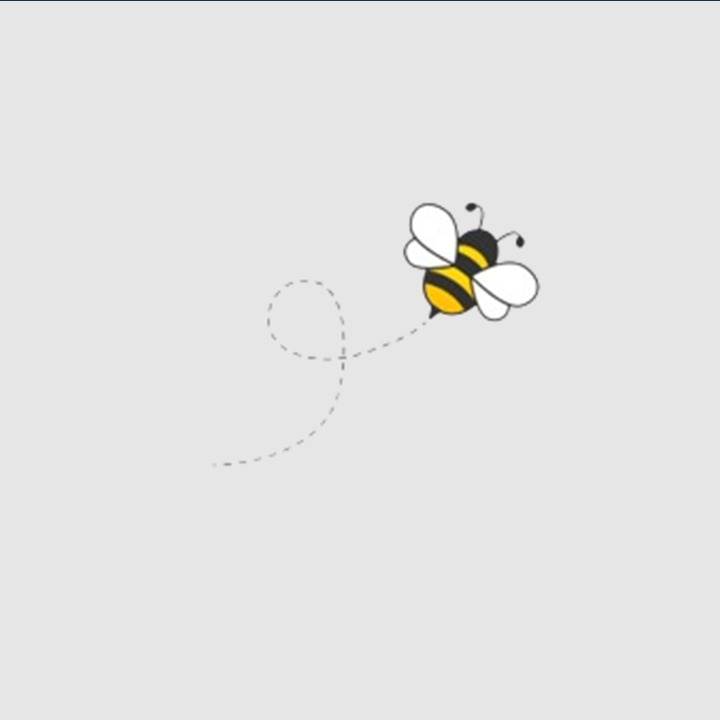 The Bee | Embroidered Hoodie | Regular Fit