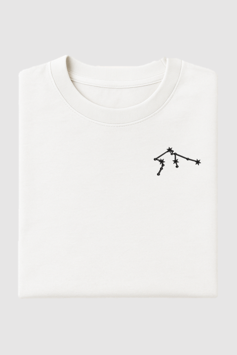 Aquarius Constellation | Embroidered T-Shirt | Regular Fit